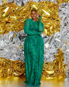 JUNE MESH DRESS (green )