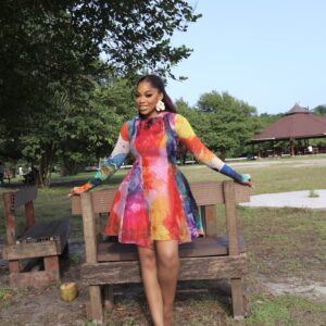Simone dress (with mesh top)